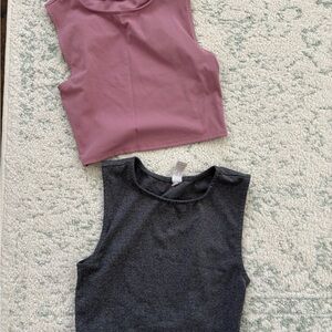 Set of Two Sleeveless Crop Tops in Pink and Gray